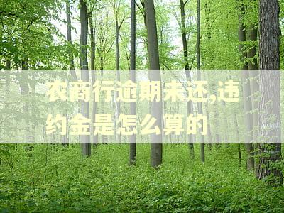 农商行逾期未还,违约金是怎么算的 农商行逾期未还,违约金是怎么算的