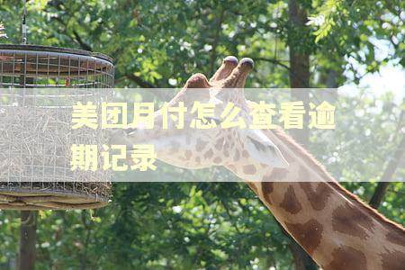 美团月付怎么查看逾期记录