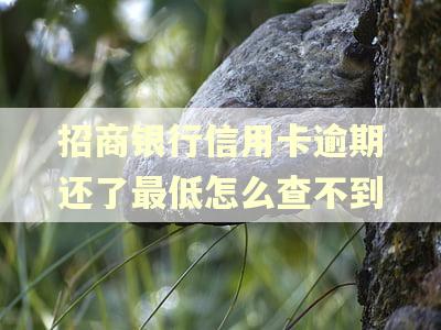 招商银行信用卡逾期还了最低怎么查不到