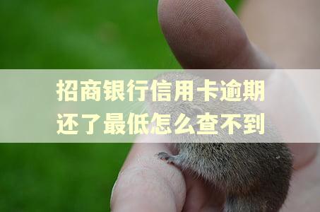 招商银行信用卡逾期还了最低怎么查不到