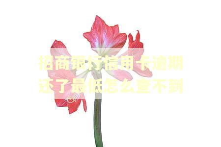 招商银行信用卡逾期还了最低怎么查不到 招商银行信用卡逾期还了最低怎么查不到