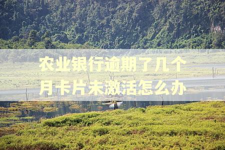 农业银行逾期了几个月卡片未激活怎么办