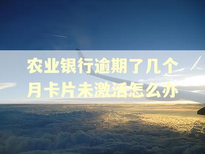 农业银行逾期了几个月卡片未激活怎么办