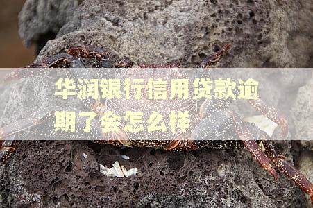 华润银行信用贷款逾期了会怎么样