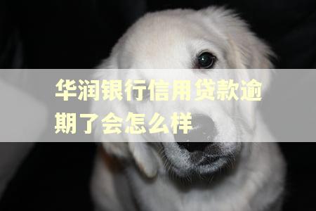 华润银行信用贷款逾期了会怎么样 华润银行信用贷款逾期了会怎么样
