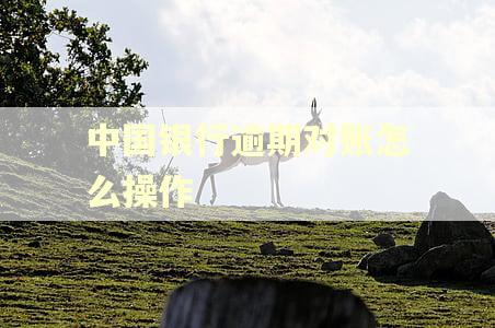 中国银行逾期对账怎么操作