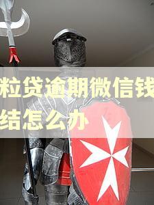 微粒贷逾期微信钱包冻结怎么办