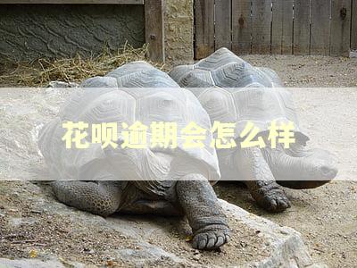 花呗逾期会怎么样 花呗逾期会怎么样