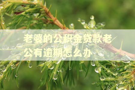 老婆的公积金贷款老公有逾期怎么办