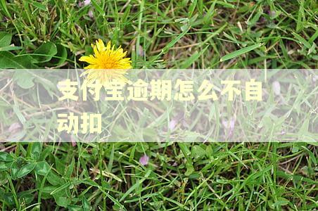 支付宝逾期怎么不自动扣 支付宝逾期怎么不自动扣