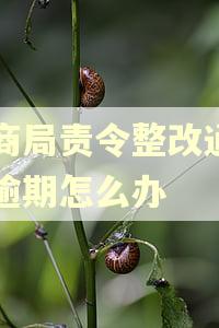 工商局责令整改通知书逾期怎么办