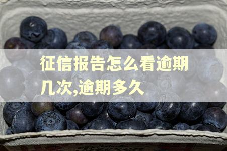 征信报告怎么看逾期几次,逾期多久