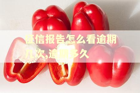 征信报告怎么看逾期几次,逾期多久