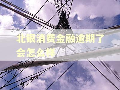 北银消费金融逾期了会怎么样