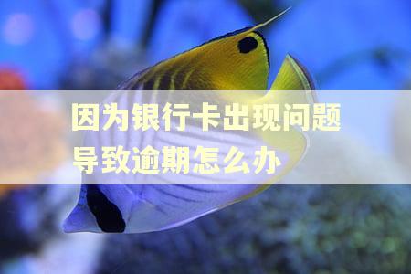 因为银行卡出现问题导致逾期怎么办