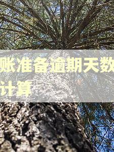坏账准备逾期天数怎么计算