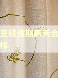 豆豆钱逾期两天会怎么样