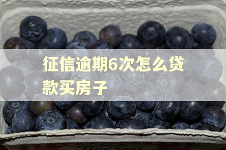 征信逾期6次怎么贷款买房子