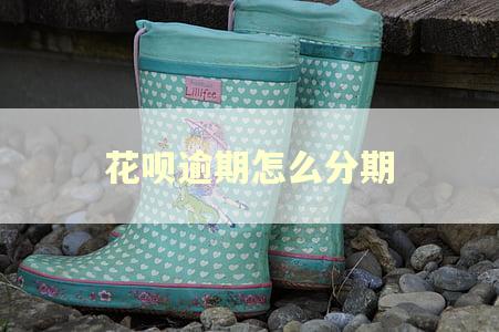 花呗逾期怎么分期