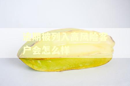 逾期被列入高风险客户会怎么样