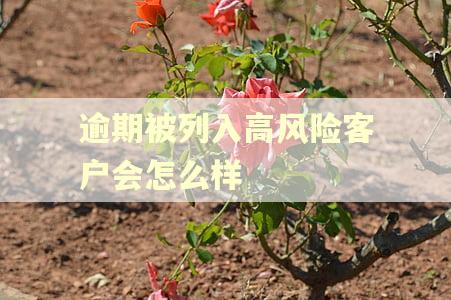 逾期被列入高风险客户会怎么样