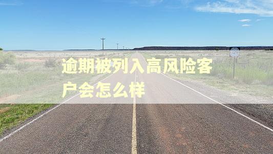 逾期被列入高风险客户会怎么样