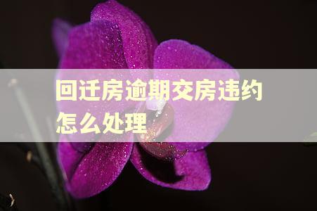 回迁房逾期交房违约怎么处理