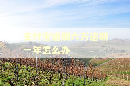 支付宝逾期六万逾期一年怎么办