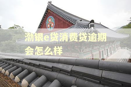 渤银e贷消费贷逾期会怎么样