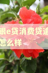 渤银e贷消费贷逾期会怎么样