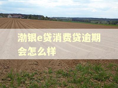 渤银e贷消费贷逾期会怎么样