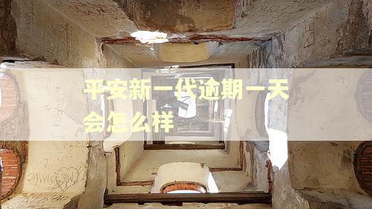 平安新一代逾期一天会怎么样