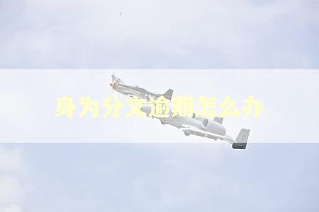 身为分文逾期怎么办