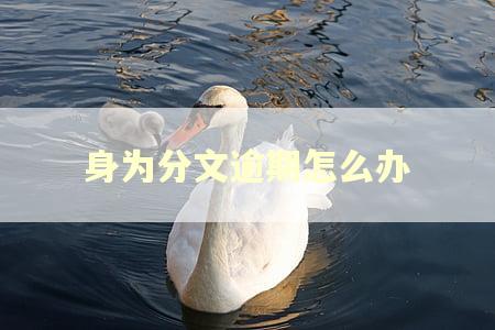 身为分文逾期怎么办