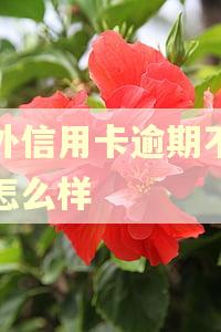 国外信用卡逾期不还会怎么样