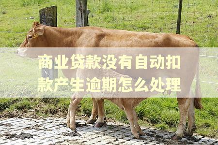 商业贷款没有自动扣款产生逾期怎么处理