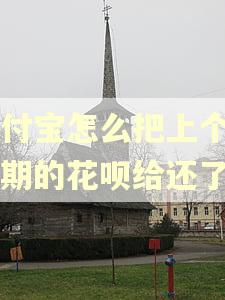 支付宝怎么把上个月逾期的花呗给还了