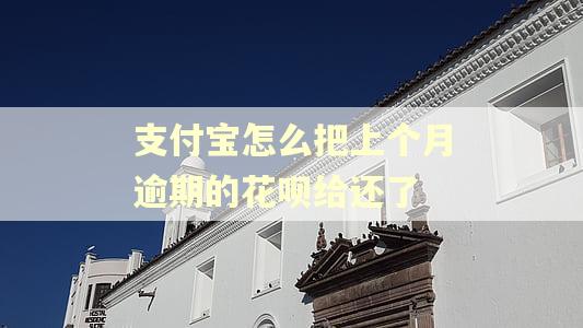 支付宝怎么把上个月逾期的花呗给还了 支付宝怎么把上个月逾期的花呗给还了
