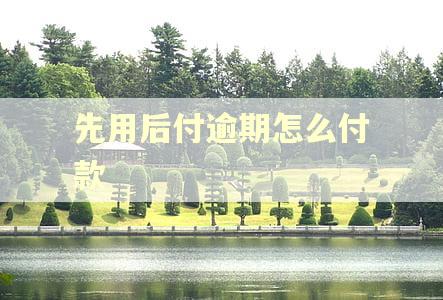 先用后付逾期怎么付款