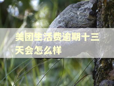 美团生活费逾期十三天会怎么样