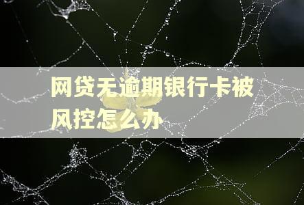 网贷无逾期银行卡被风控怎么办 网贷无逾期银行卡被风控怎么办
