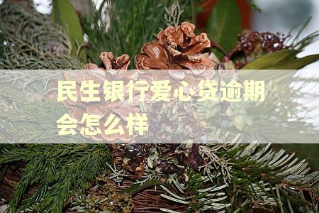 民生银行爱心贷逾期会怎么样