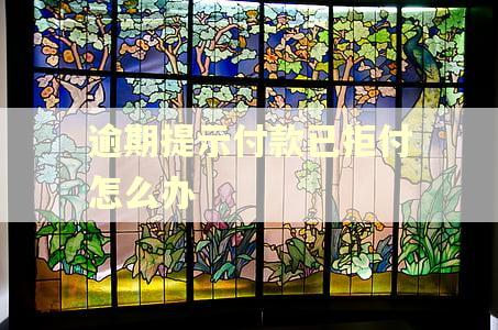 逾期提示付款已拒付怎么办