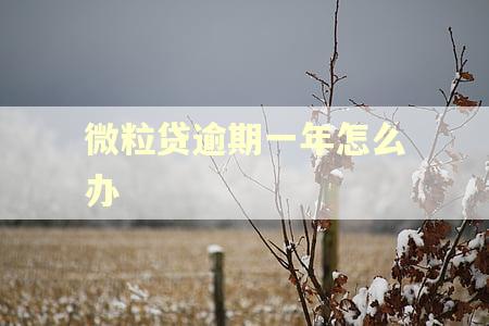 微粒贷逾期一年怎么办