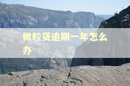 微粒贷逾期一年怎么办