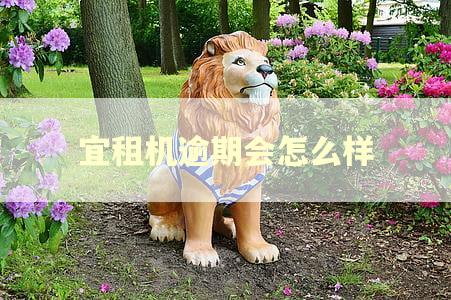 宜租机逾期会怎么样