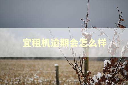 宜租机逾期会怎么样