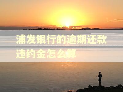 浦发银行的逾期还款违约金怎么算 浦发银行的逾期还款违约金怎么算