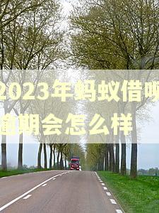 2023年蚂蚁借呗逾期会怎么样