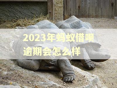 2023年蚂蚁借呗逾期会怎么样